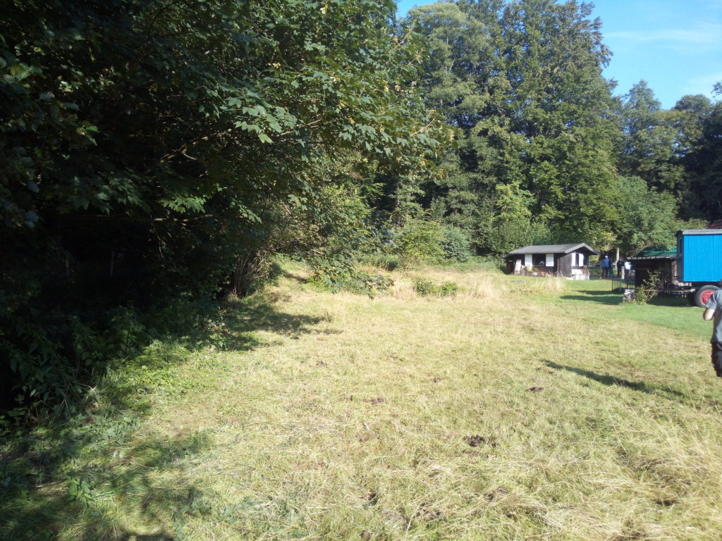 vorher